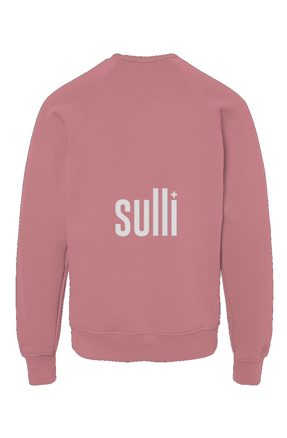 Youth Spark Squad Crew Mauve Back