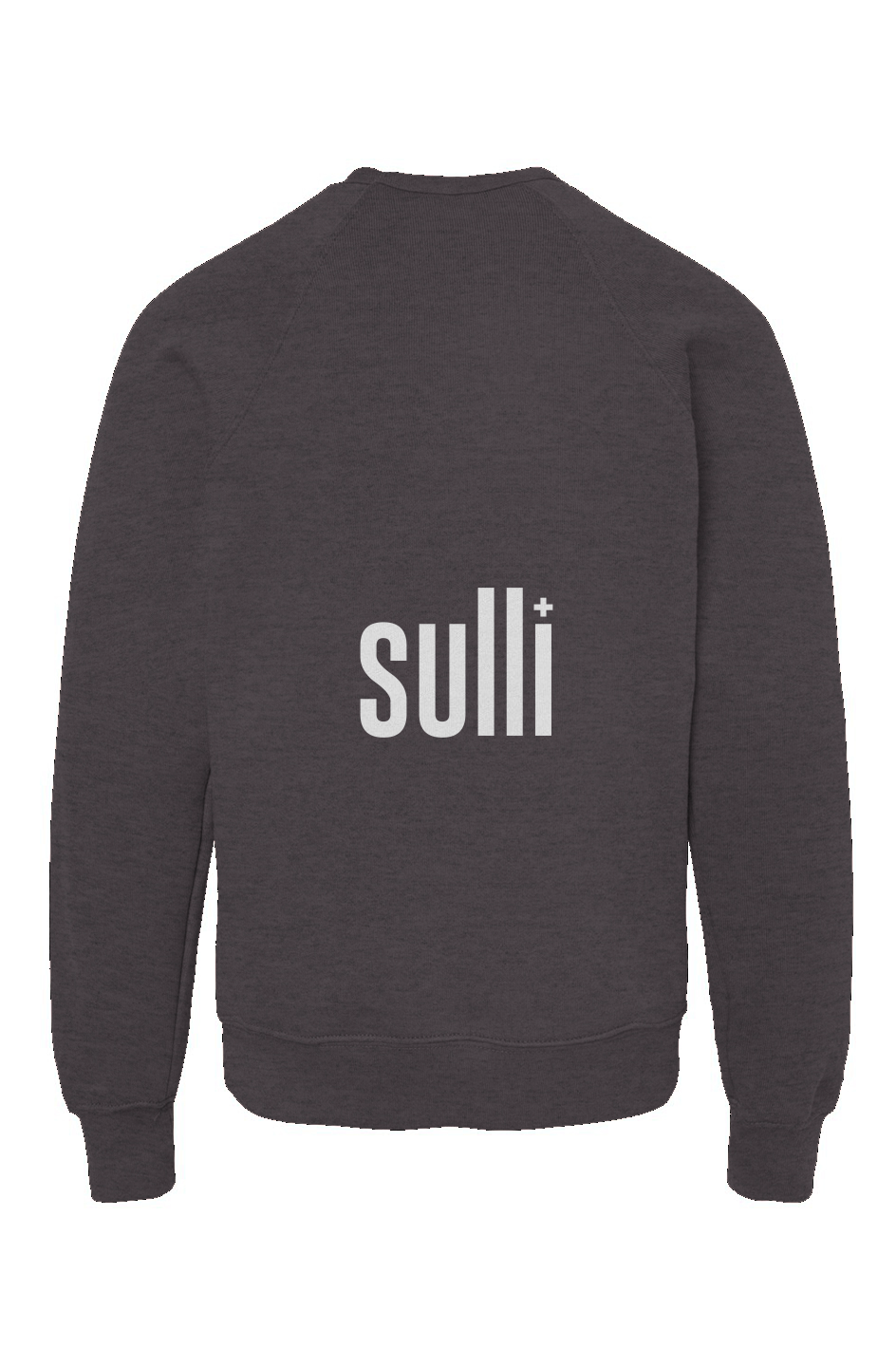 Youth Spark Squad Crew Dark Grey Back